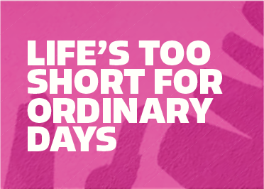 Typography color pairing 07