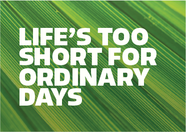 Typography color pairing 09