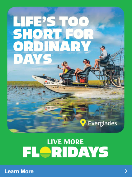 Color palette application 01