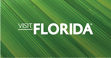 Logo on imagery example 01