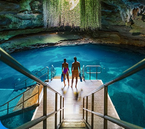 Visit Florida image asset 2