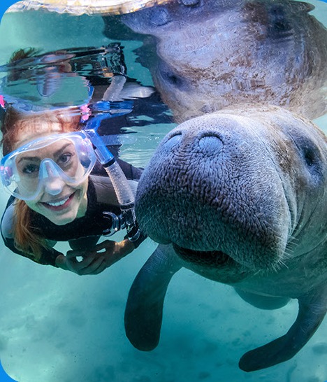 Visit Florida image asset 5