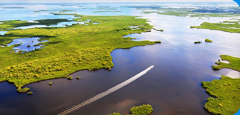 Visit Florida image asset 6