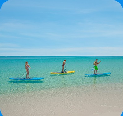 Visit Florida image asset 9