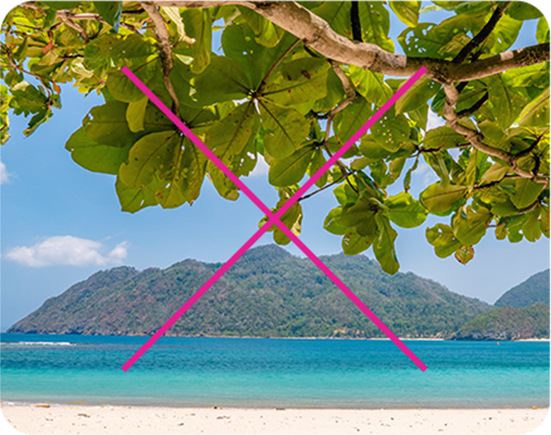 Do not use images that aren't Florida