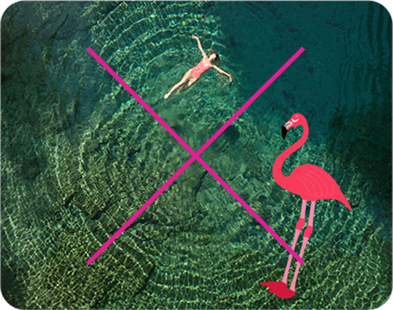 Do not add graphic elements