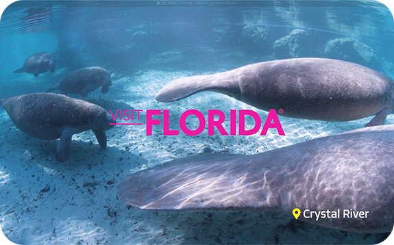 Visit Florida video thumbnail — Crystal River